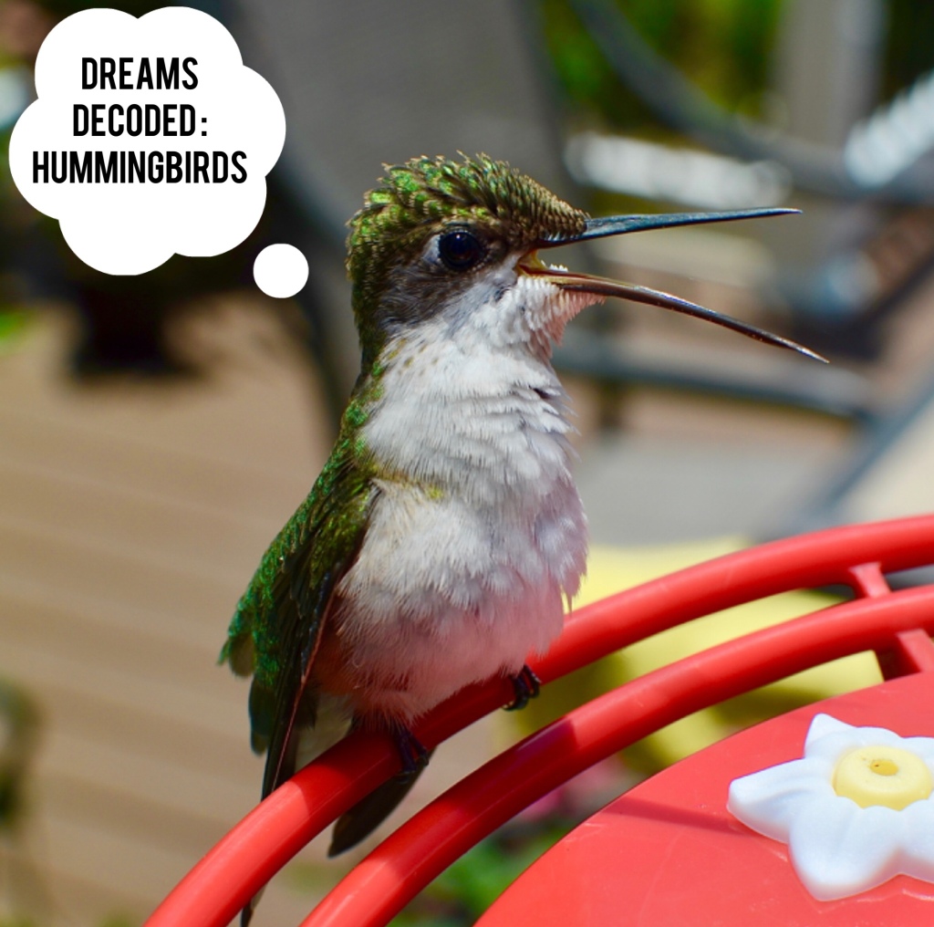 Hummingbird Dreams Decoded with Keri